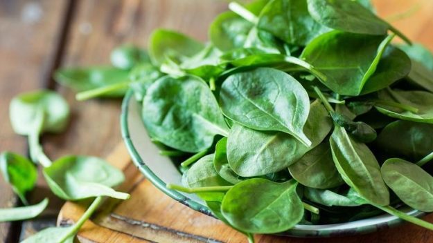 food and risk of cancer