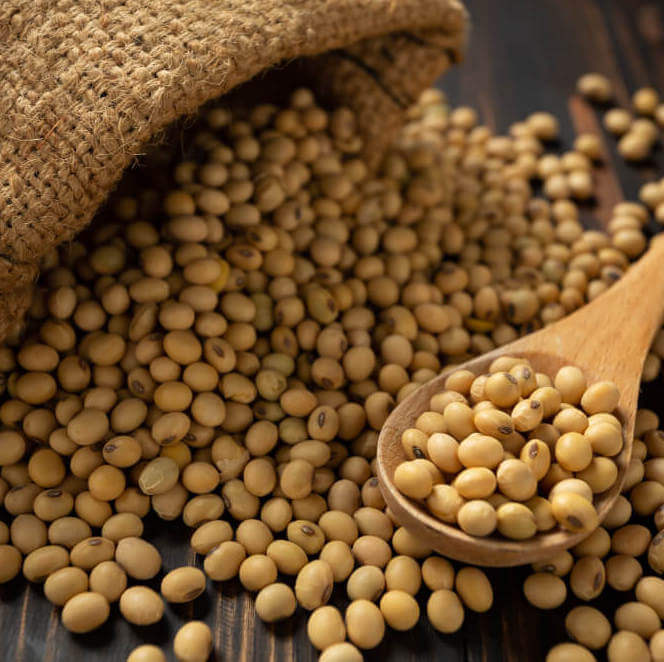 6 مورد از بهترین منابع گیاهی کلسیم 6 مورد از بهترین منابع گیاهی کلسیم