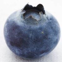 blueberry a fruit for well being